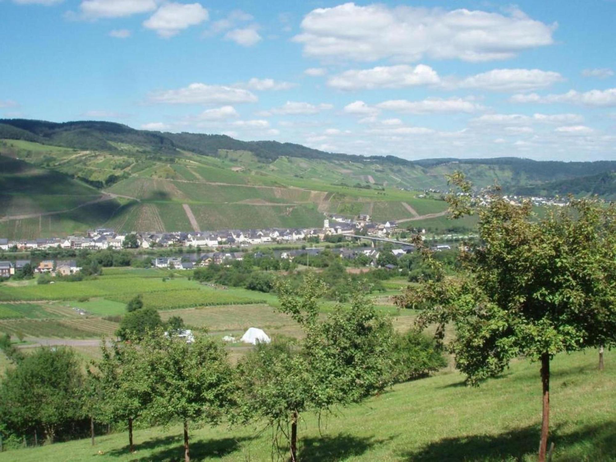 Sch Ne Wohnung In Der Moselregion Kinheim Εξωτερικό φωτογραφία